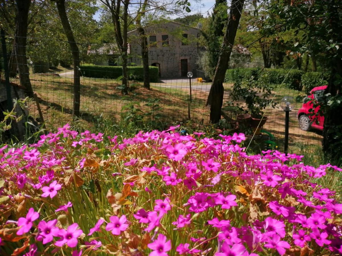 Agriturismo Il Cornalino 카스텔비스카르도 외부 사진