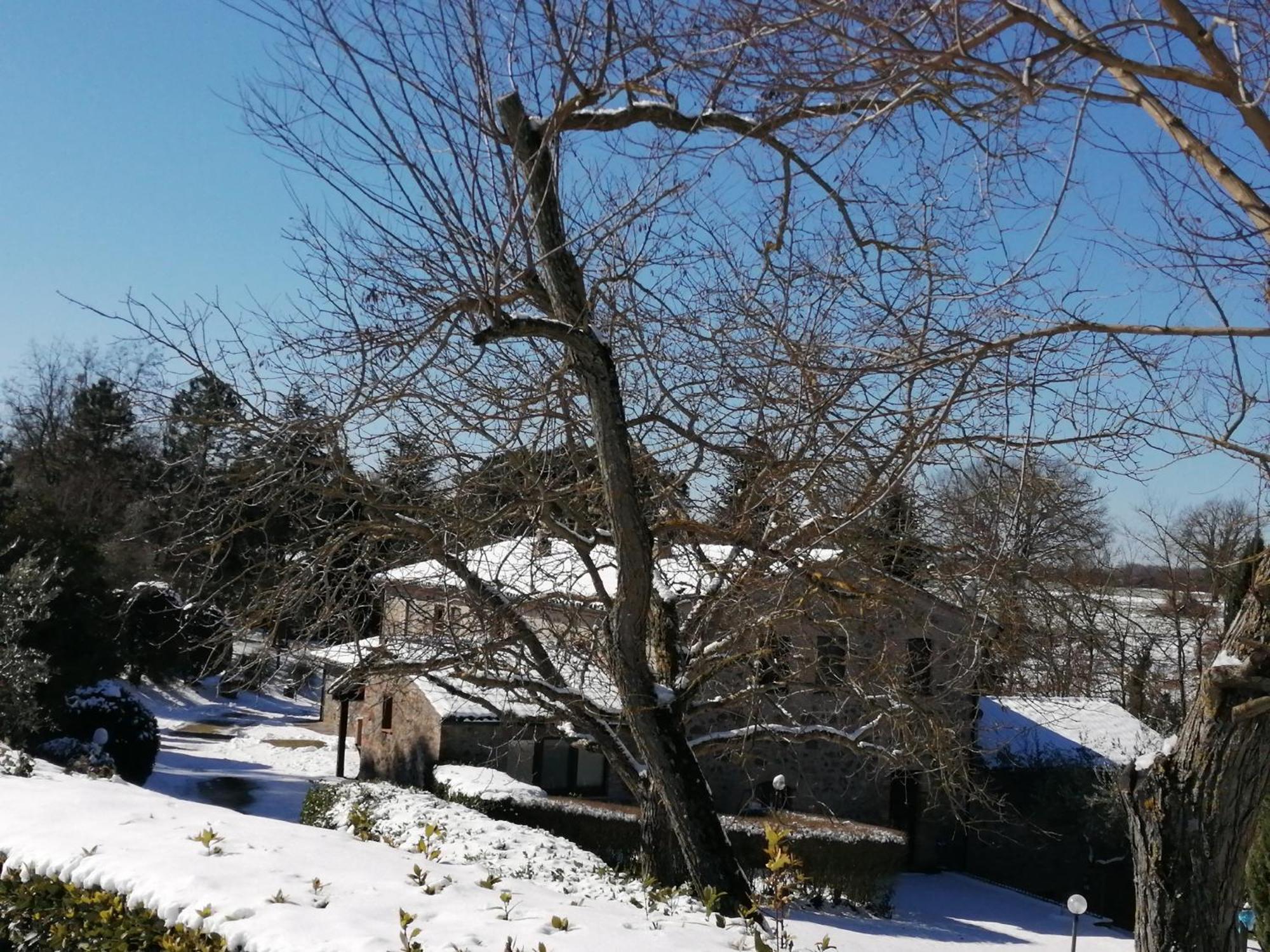 Agriturismo Il Cornalino 카스텔비스카르도 외부 사진