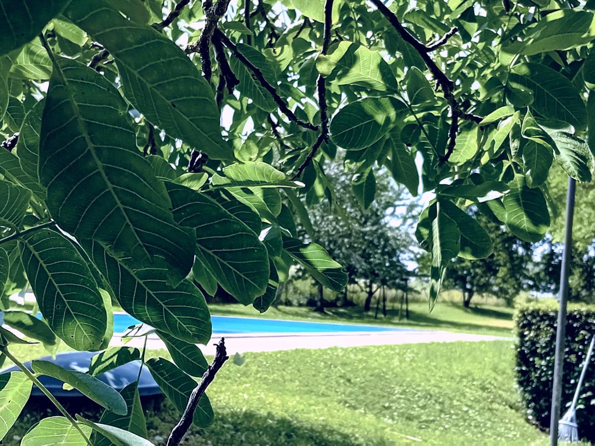Agriturismo Il Cornalino 카스텔비스카르도 외부 사진