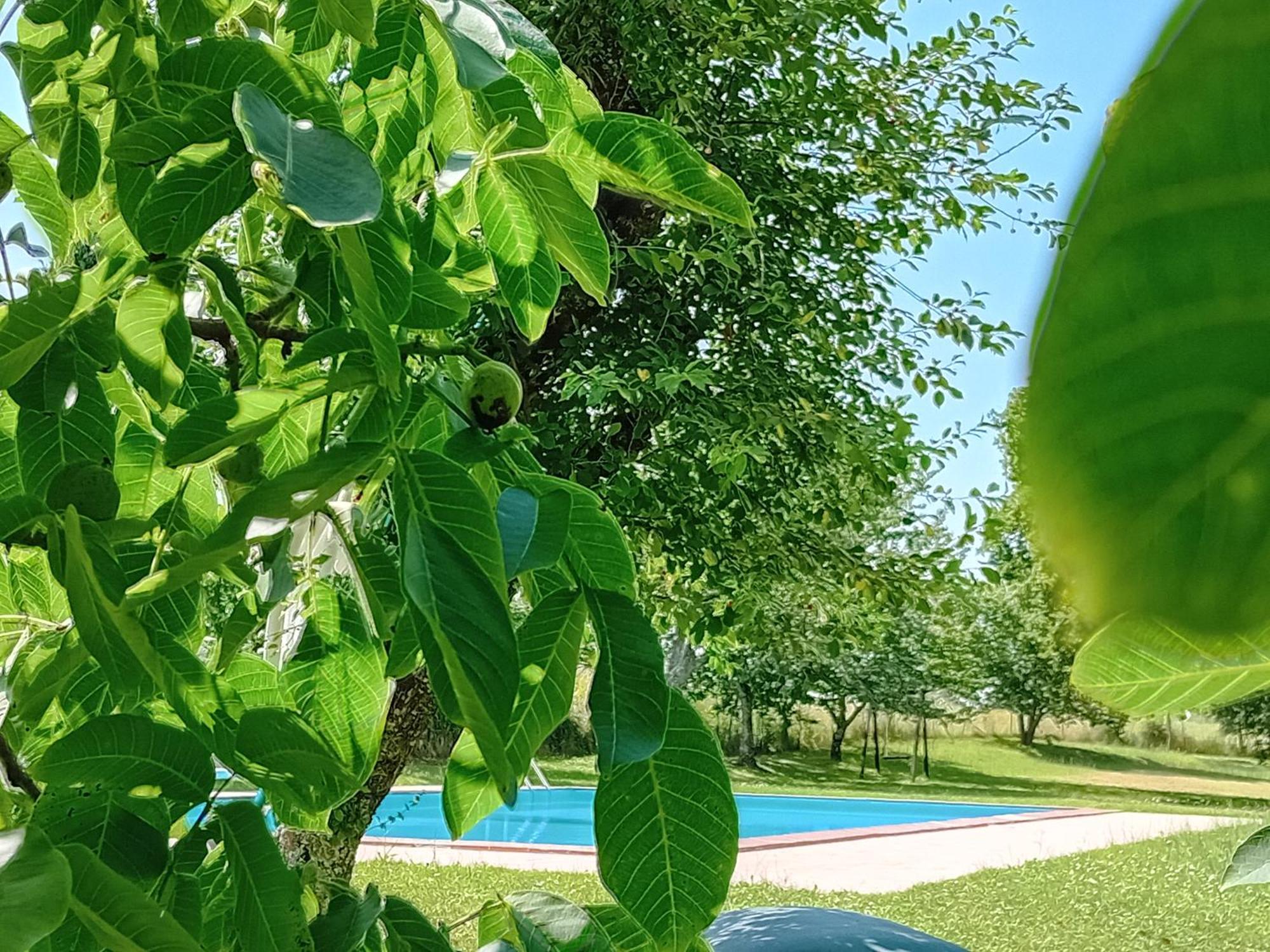 Agriturismo Il Cornalino 카스텔비스카르도 외부 사진