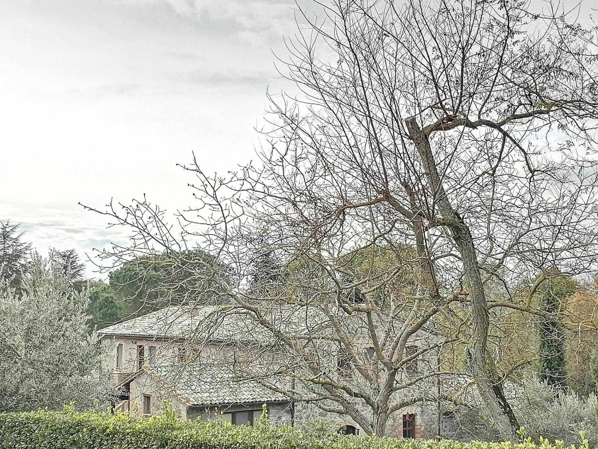 Agriturismo Il Cornalino 카스텔비스카르도 외부 사진