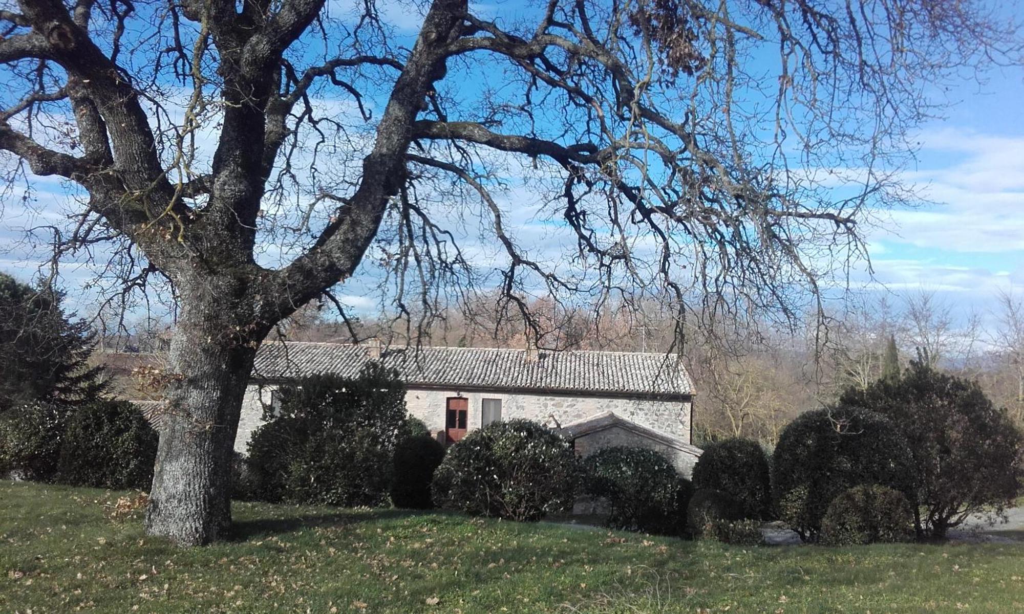 Agriturismo Il Cornalino 카스텔비스카르도 외부 사진