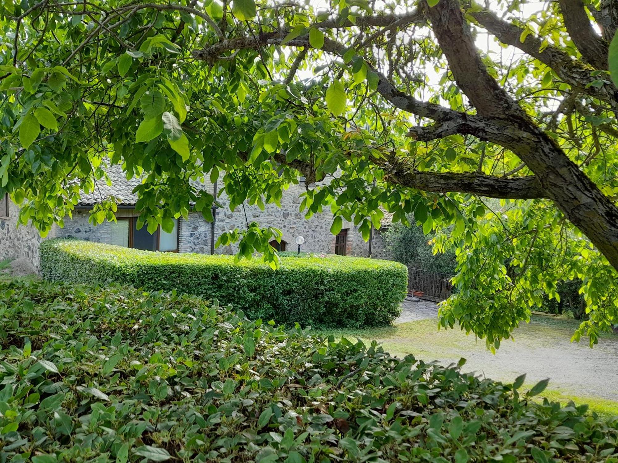 Agriturismo Il Cornalino 카스텔비스카르도 외부 사진