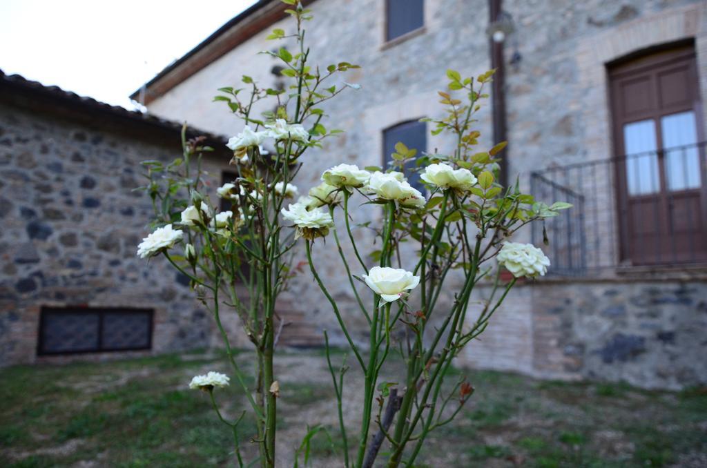 Agriturismo Il Cornalino 카스텔비스카르도 외부 사진